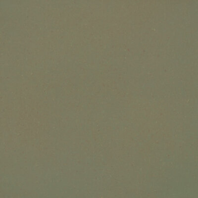 Image for choice number 5